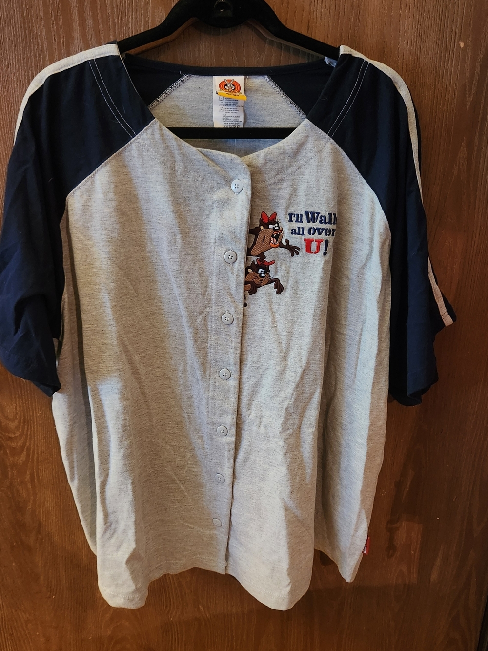 Taz Kids' Button-Front Baseball Tee - Gray & Navy